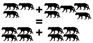 "The sum of two groups of ocelots is invariant with respect to the how the ocelots are distributed between the two groups."